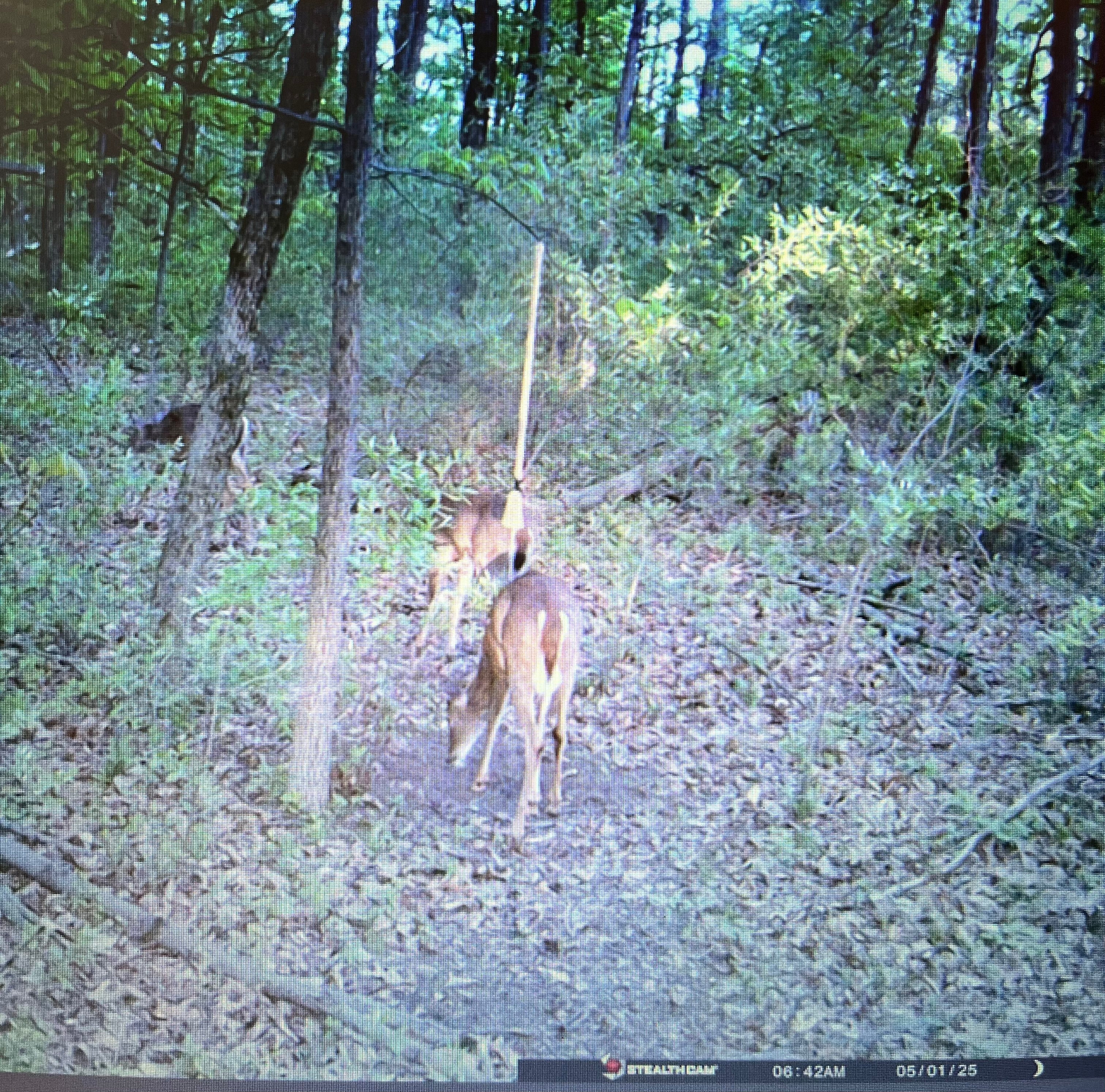 5’ Scrape Rope Kit