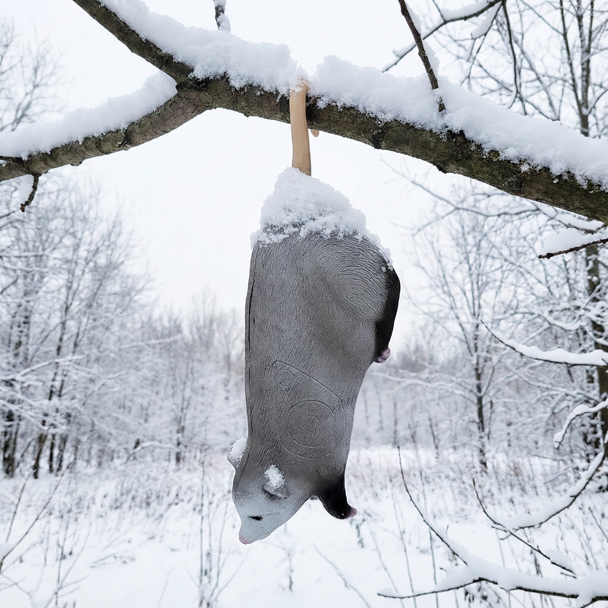 Real Wild 3D Hanging Opossum Archery Target